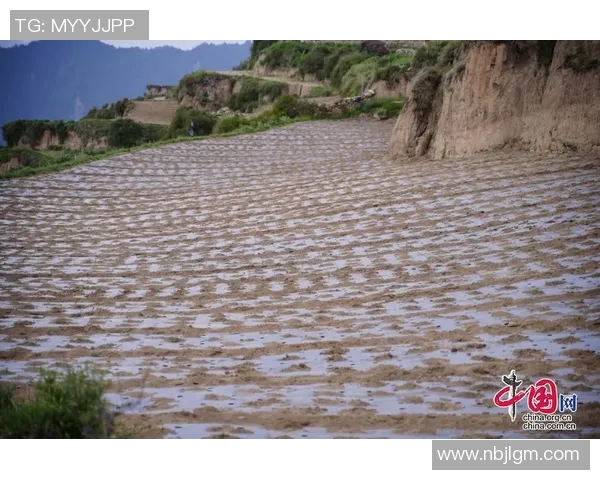 足球明星杨克乐的传奇之路与辉煌成就揭秘 足球明星杨克乐的传奇之路与辉煌成就揭秘