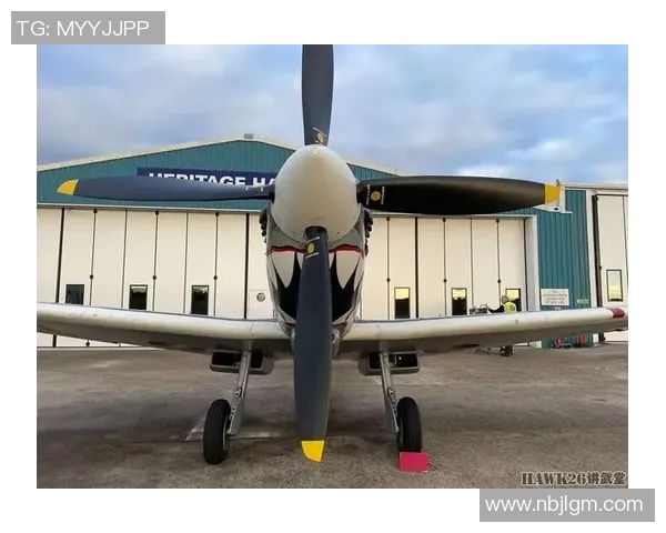 足球明星携手抗敌演绎二战传奇战场激情与荣耀